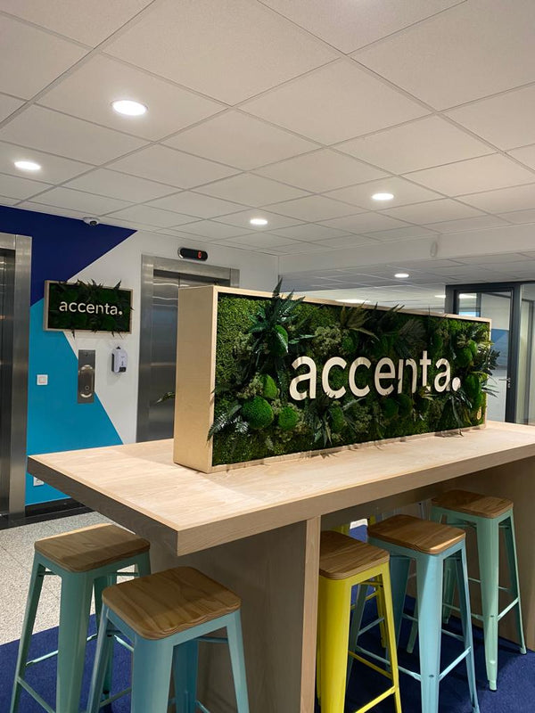 Logo végétal : quand Accenta et POUSSE fusionnent identité et nature