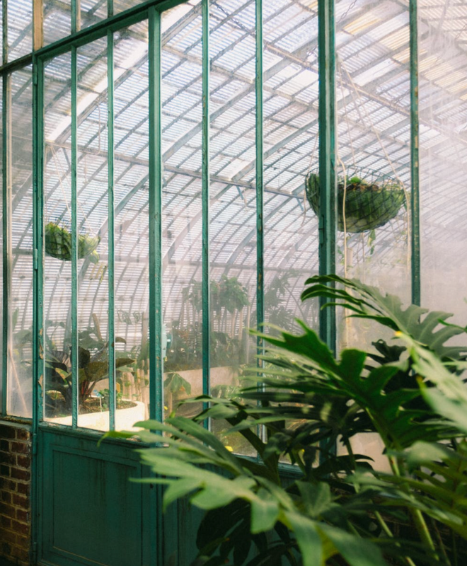 5 astuces pour jardiner bio