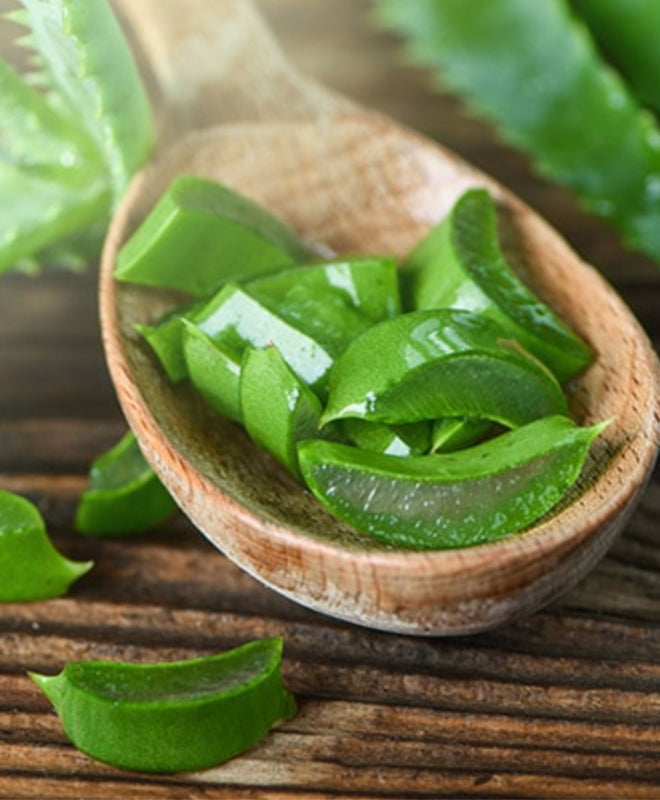 L'aloe vera aux multiples bienfaits (gel & recettes)