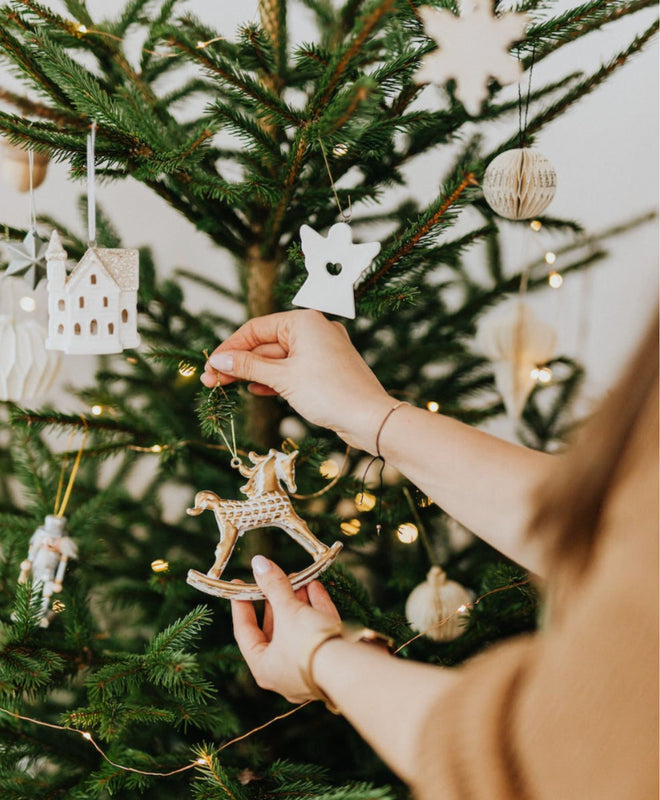 Fiche entretien : Sapin de Noël