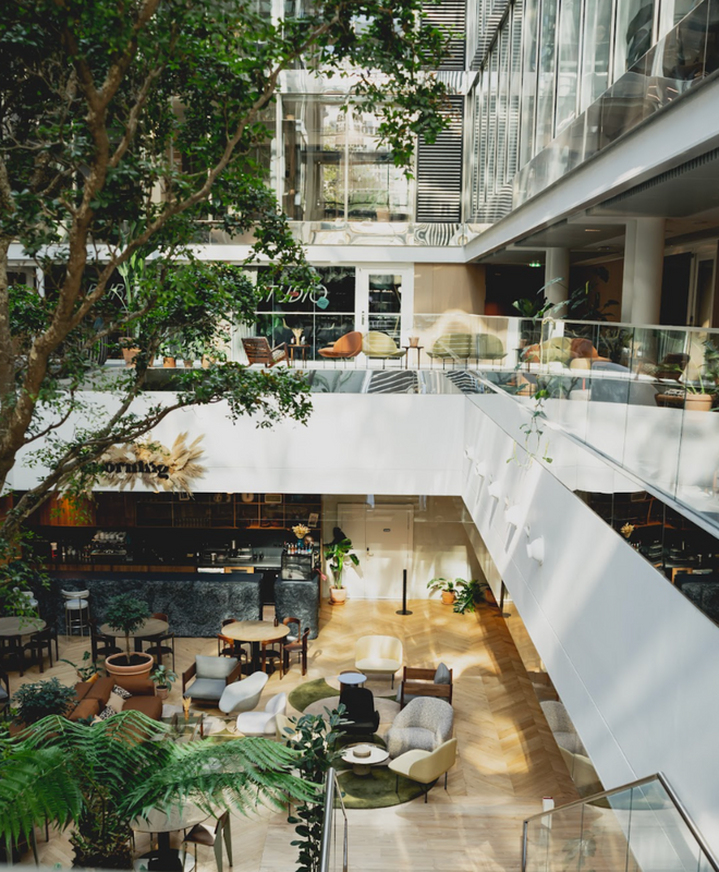 9 bonnes raisons d'adopter des plantes au bureau