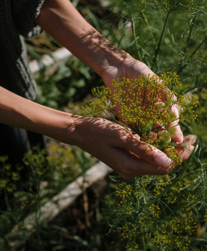 Les 5 gestes à adopter pour avoir de belles plantes au printemps 2023