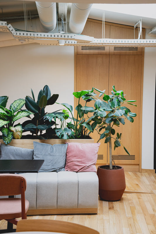 Végétaliser ses bureaux : le guide pratique