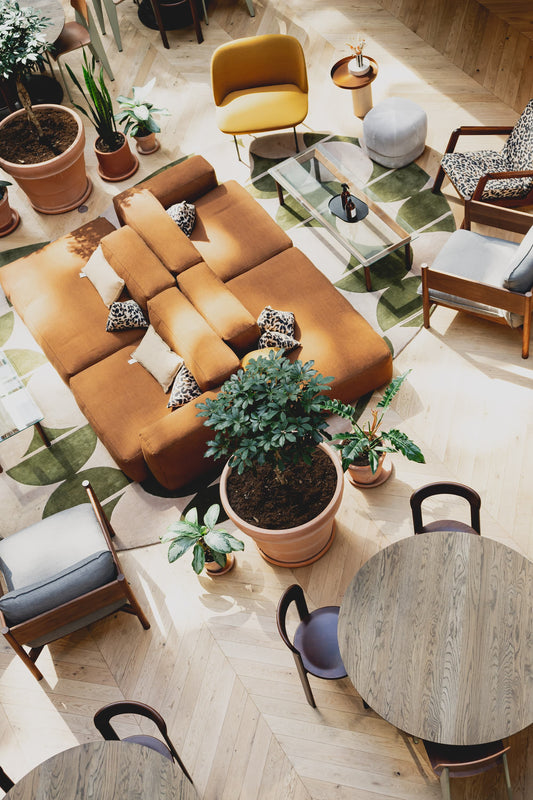 Design Végétal: renouveler les espaces avec style