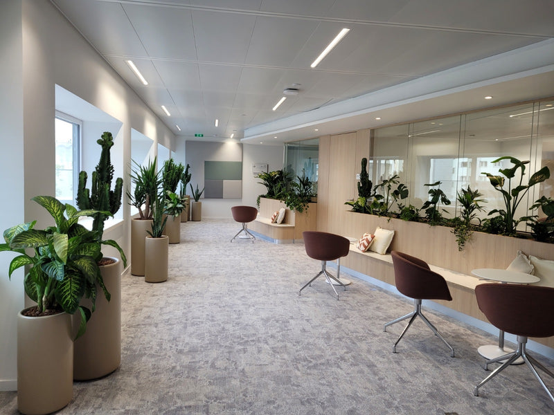 Végétalisation de bureaux de La Banque Populaire