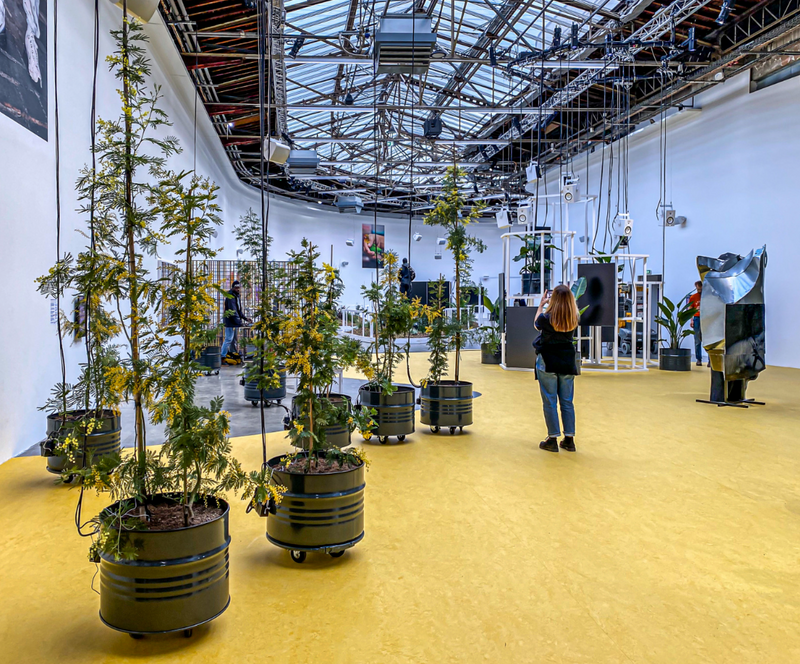 POUSSE végétalise une nouvelle exposition au Palais de Tokyo
