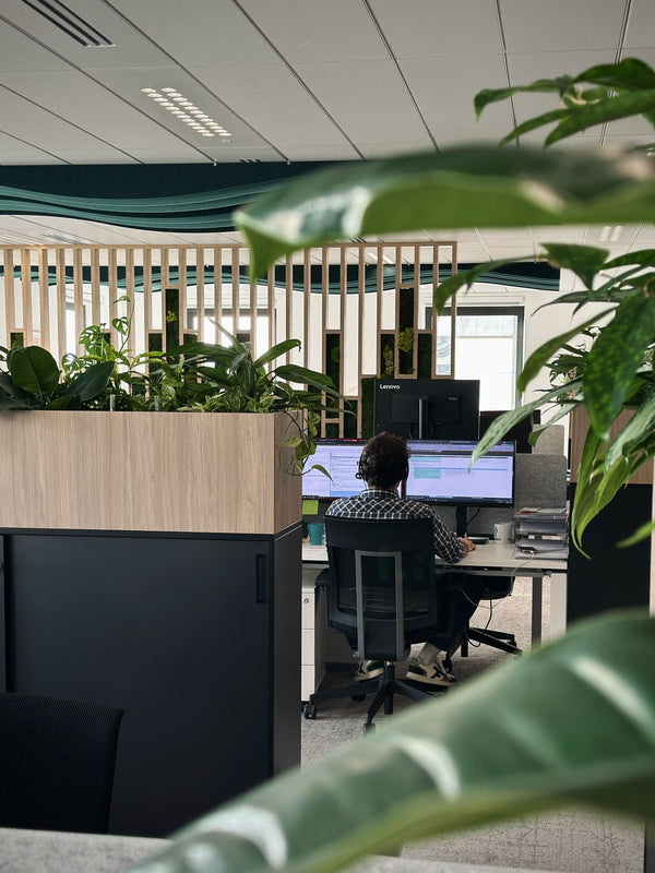 Innergex : intégrer le végétal pour un espace de travail ouvert et apaisant