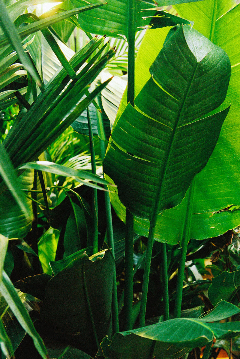 Assistant Administratif H/F