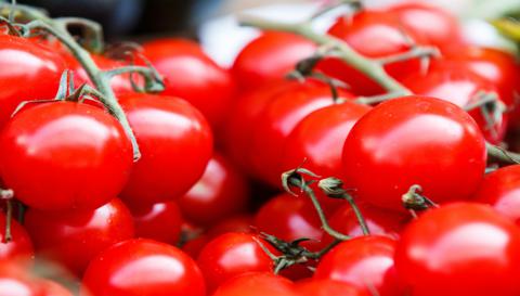 Fiche entretien: Tomates cerises