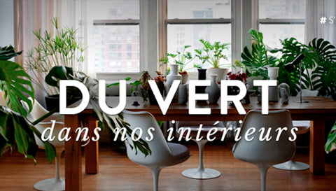 Le design se met au vert 👌🏼🌵