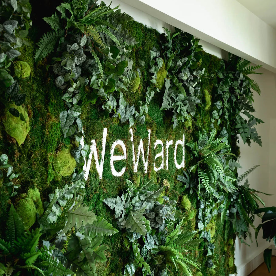 Le mur végétal stabilisé pour ajouter une touche de verdure à son espace : exemple mur végétal pour Weward