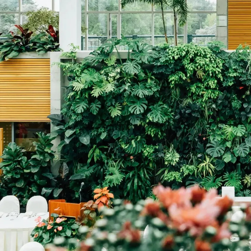 Un mur végétal pour ajouter une touche de verdure à son hôtel