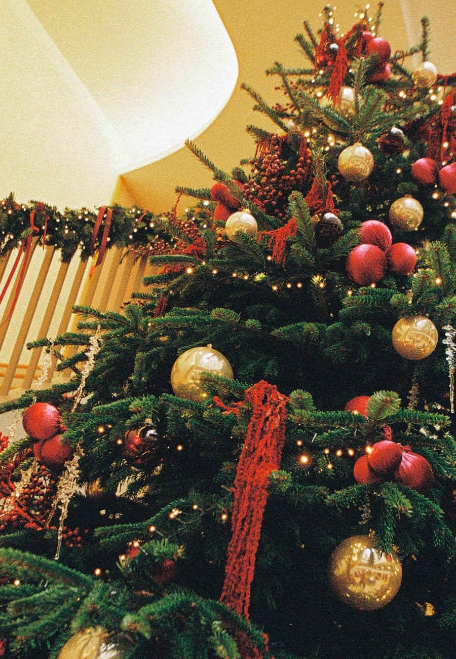 Sapin de noel et guirlande de noel decoration
