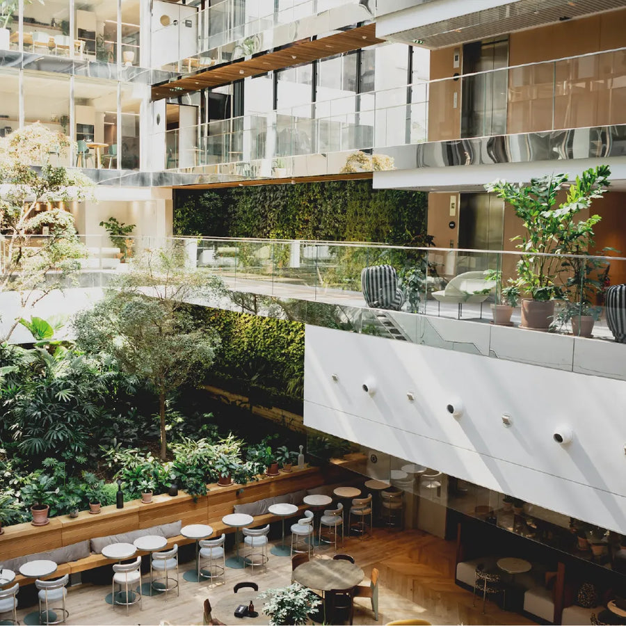 POUSSE s'est occupé de la végétalisation des bureaux les plus spectaculaires de Paris : Morning Laffitte