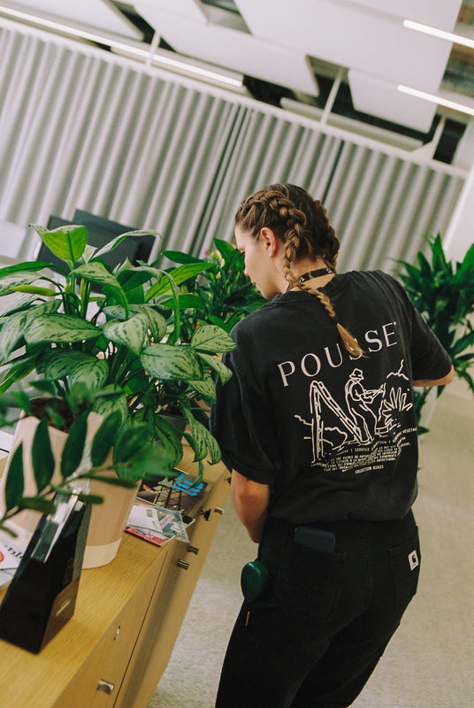 Déménagement de bureaux : comment traiter vos plantes d'intérieur ?