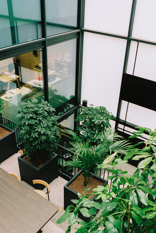 Créer un jardin d'entreprise facile à entretenir : les bonnes pratiques