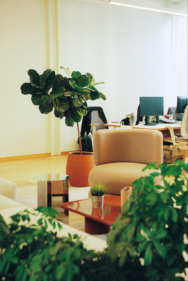 Les Tendances de l'Aménagement de Bureaux en 2026