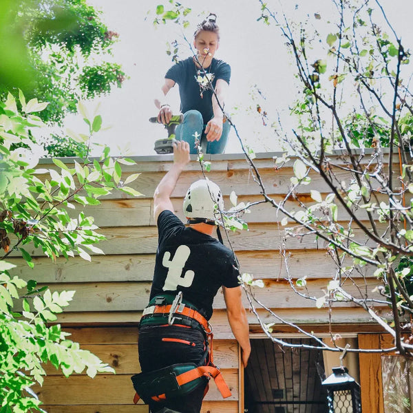 Élagage : quand et comment procéder ?