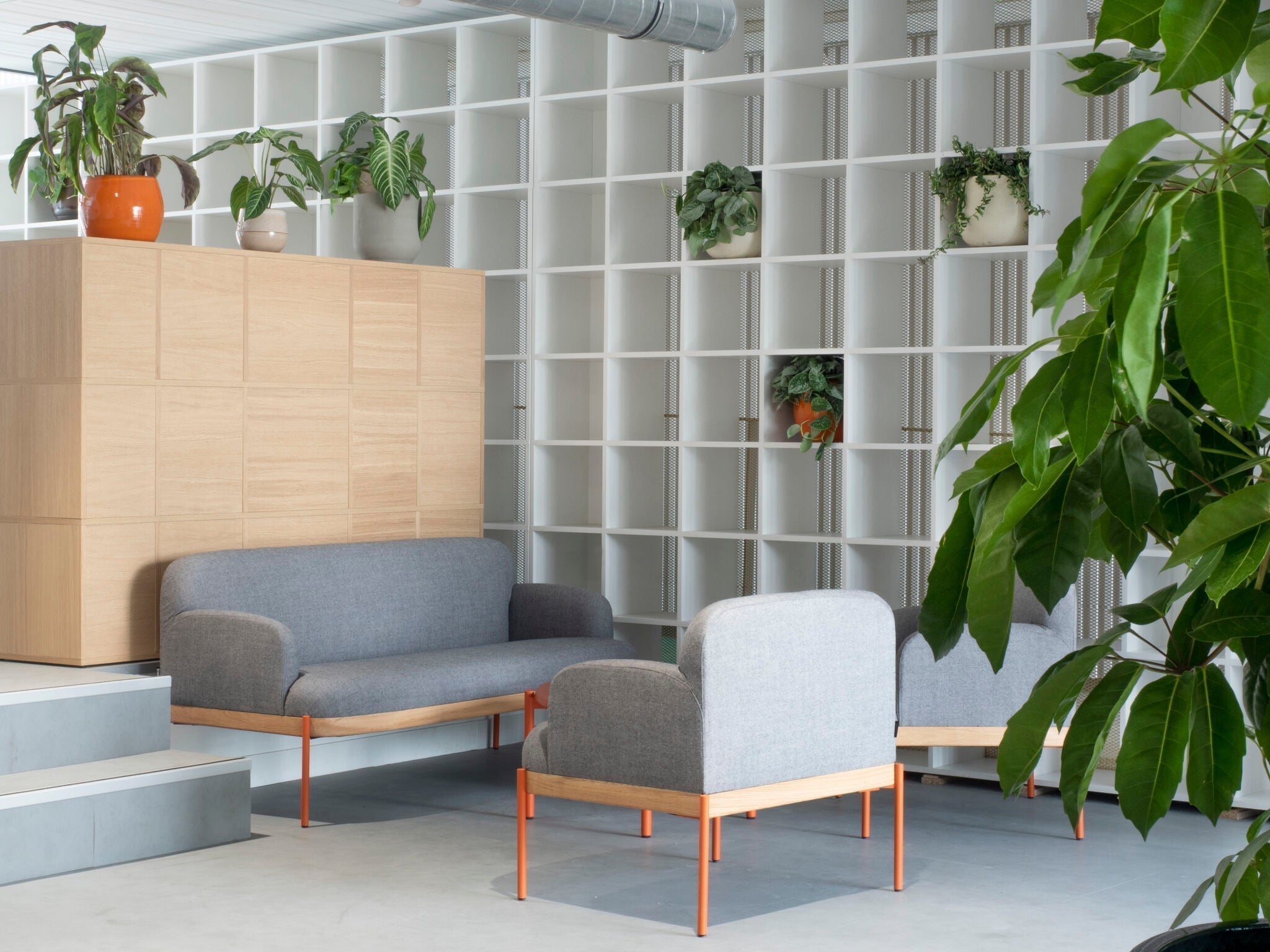 Végétalisation des bureaux de Lydia à Paris | POUSSE