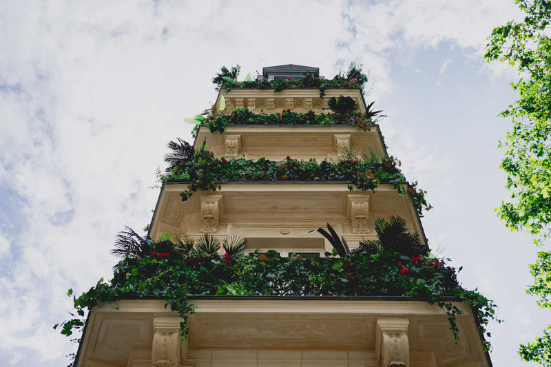 Quelles plantes choisir pour un hôtel accueillant et mémorable ?