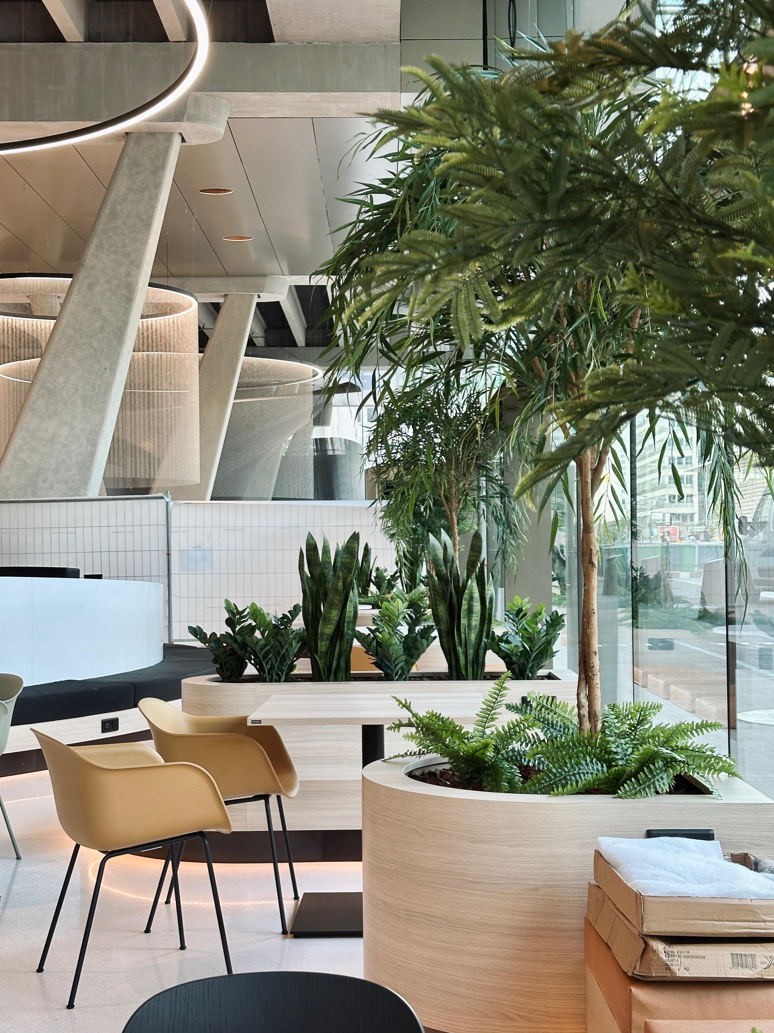 Les jardinières intégrées chez Ocellis à Lyon