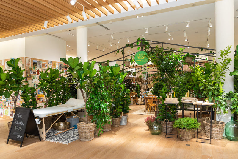 Végétalisation de stands, salons, corners et showrooms : transformez vos espaces en oasis de verdure