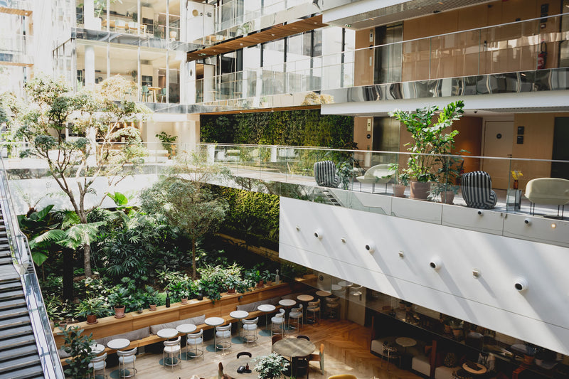 La végétalisation des Bureaux Morning Laffitte par POUSSE