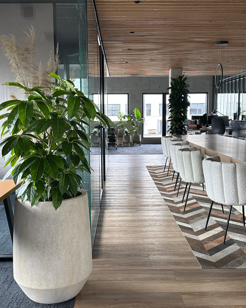 Des espaces de bureaux végétalisés pour Elyans à Lyon