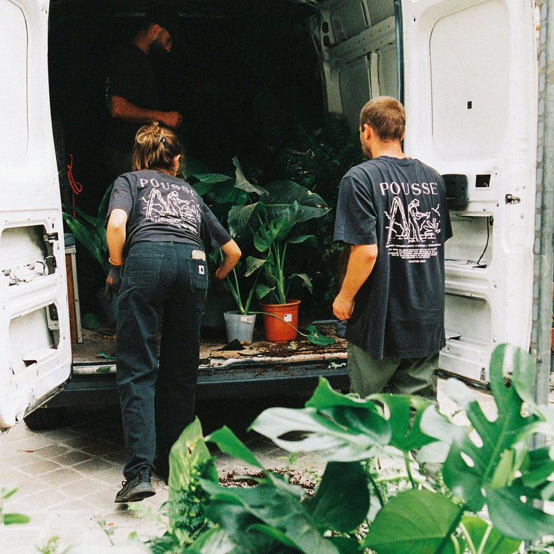 Achat ou location de plantes en entreprise : quelle solution choisir ?
