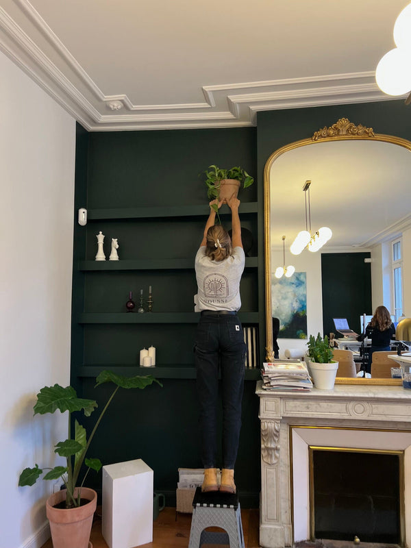 Végétalisation de bureaux : la solution Packplant. Le service de location de jungle pour vos bureaux.