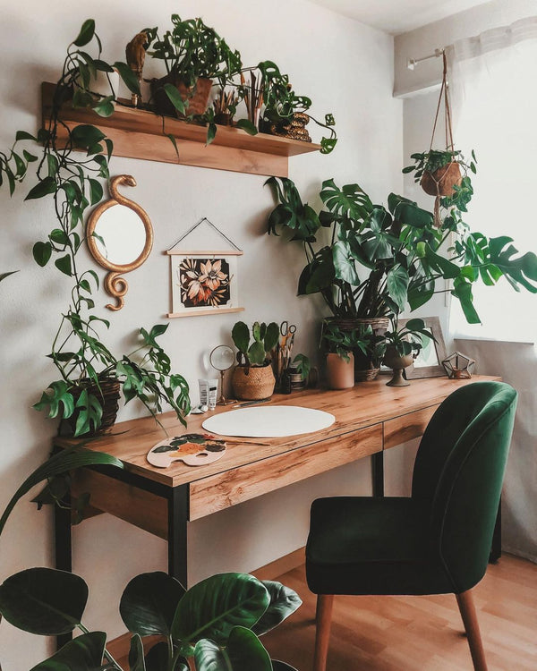 Les huit plantes recommandées pour vos bureaux