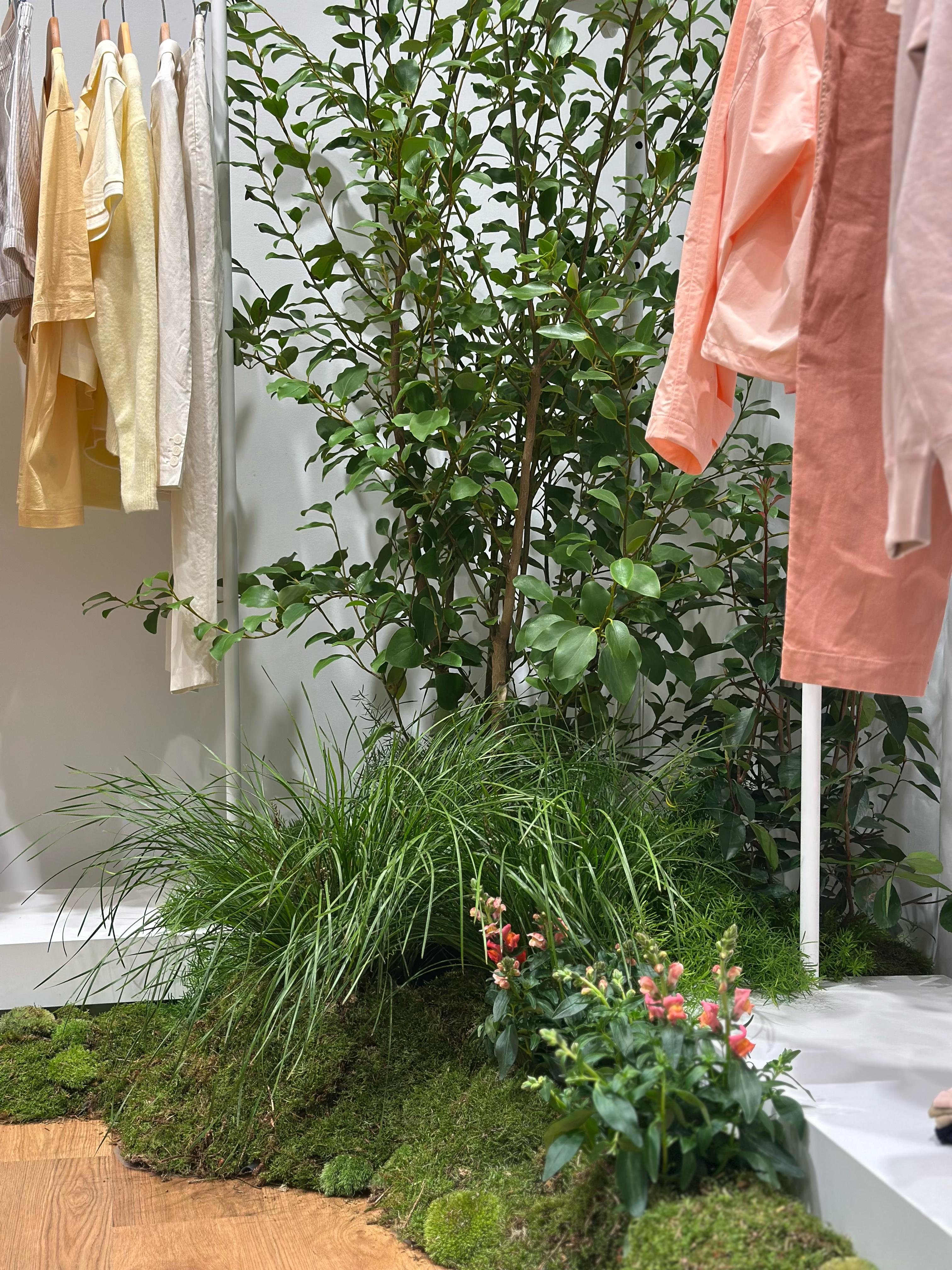 POUSSE végétalise la boutique Uniqlo pour un événement immersif