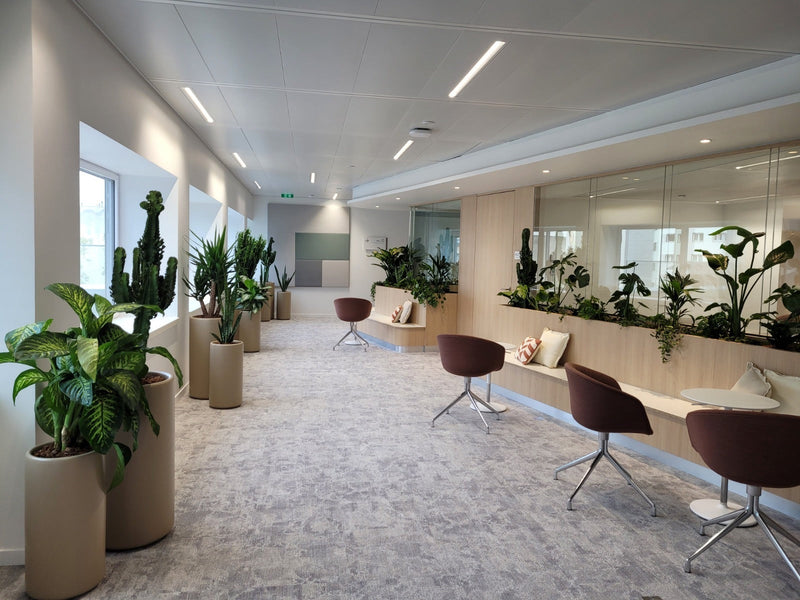 Végétalisation de bureaux de La Banque Populaire