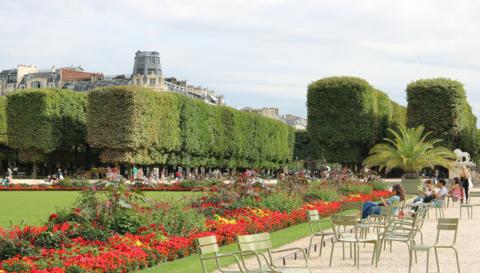 Top 5 des parcs où se poser à Paris