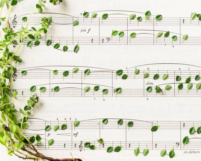 Une playlist pour vos plantes