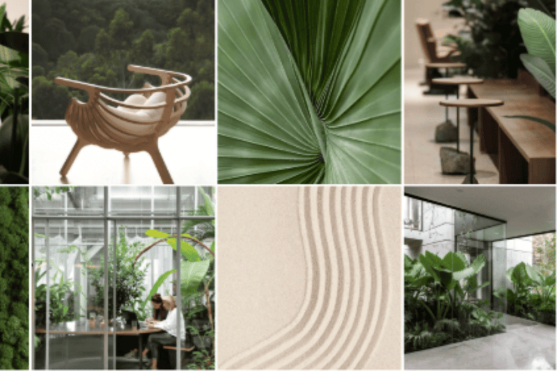 Connaître le design biophilique sur le bout des doigts