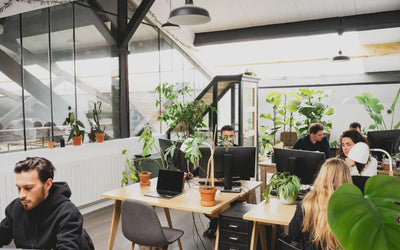 Le bureau d'étude interne de POUSSE s'occupe de la conception de vos projets de végétalisation