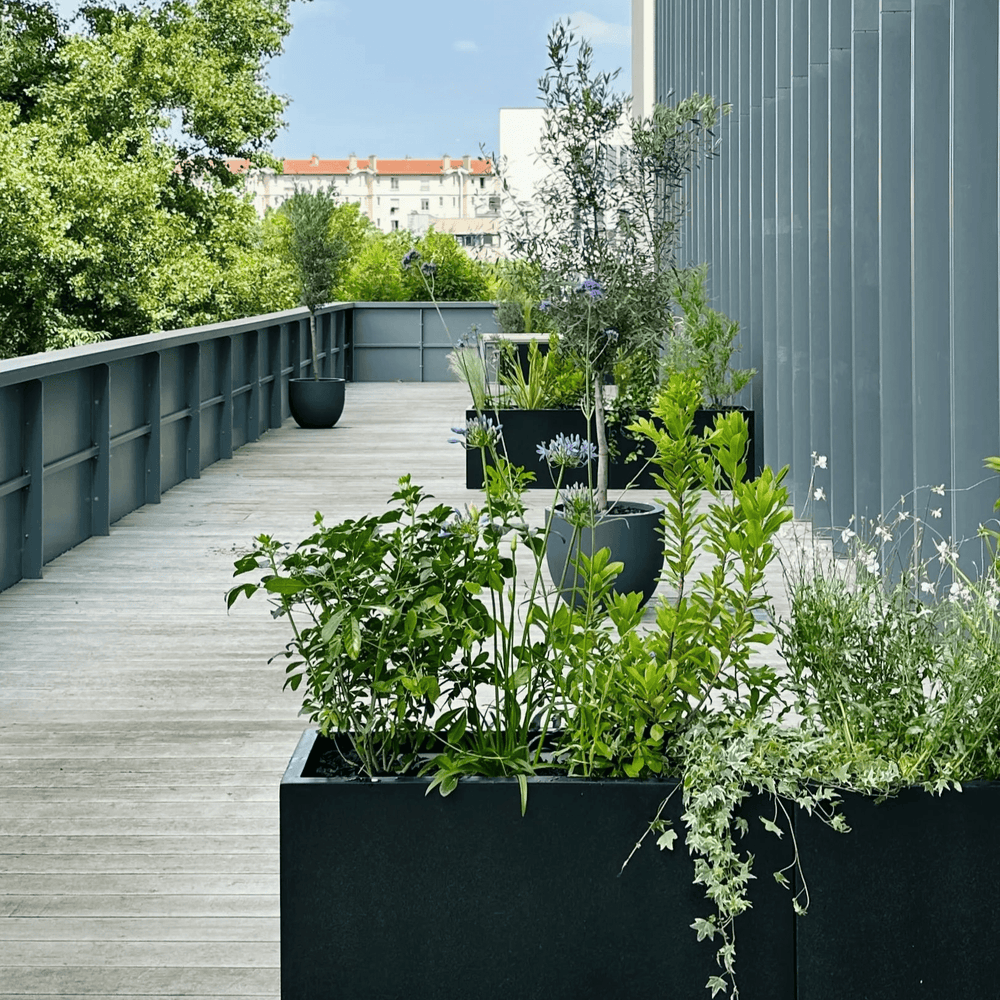 Bureaux pour Biopole à Lyon
