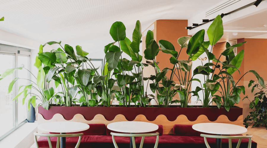 Exemple de bureaux à Lyon par POUSSE