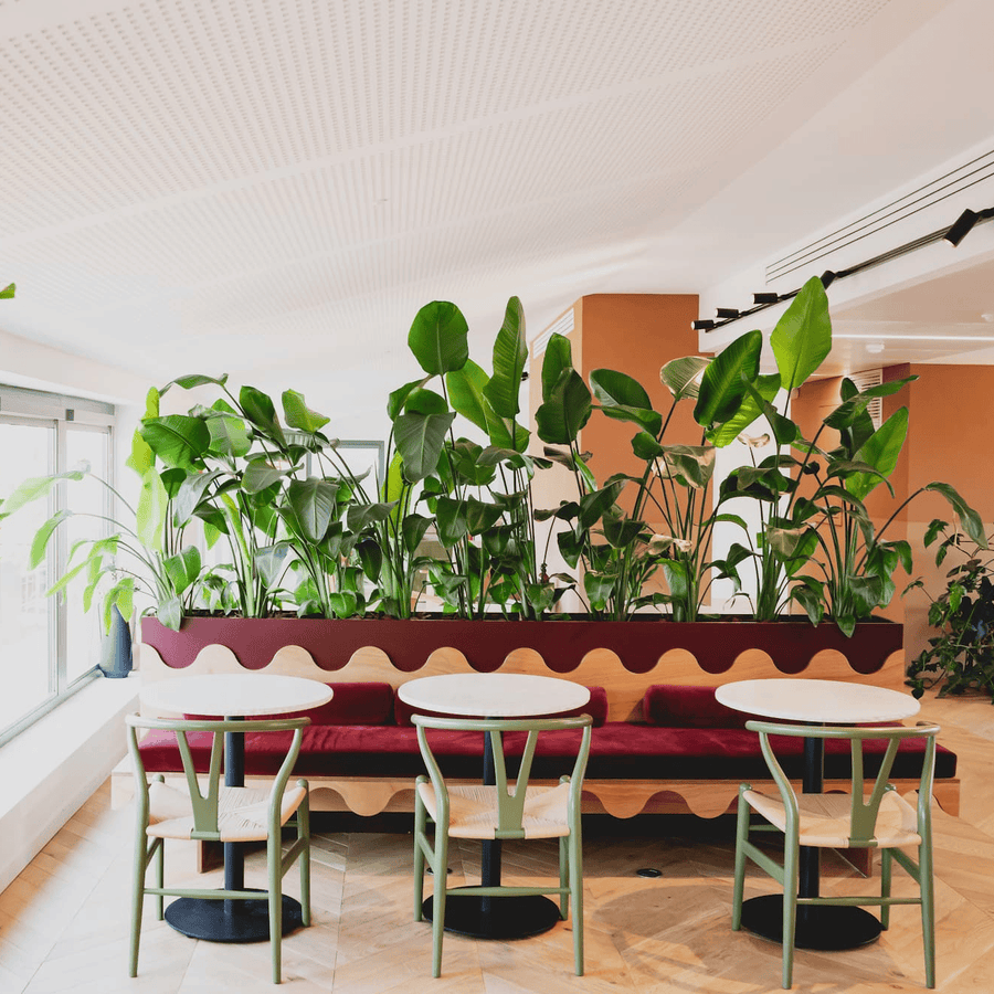 Exemple de bureaux à Lyon par POUSSE