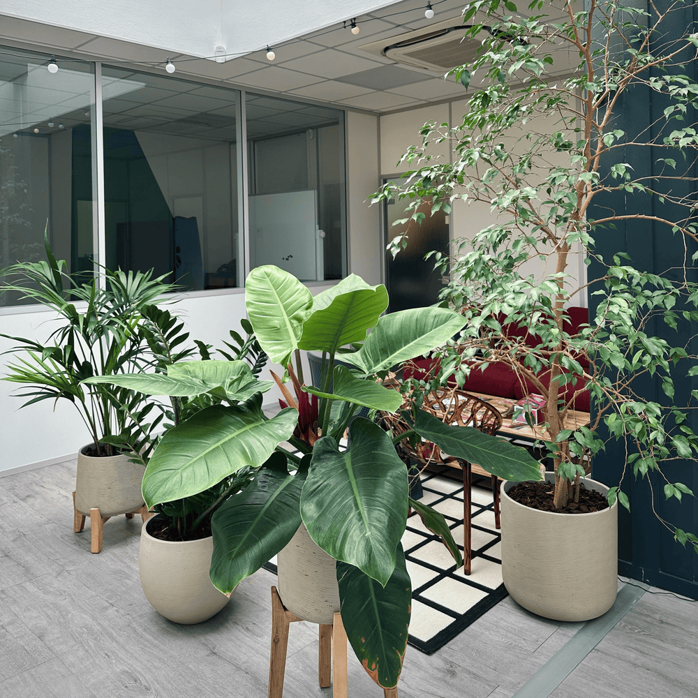 Les bureaux Clinfo par POUSSE Lyon
