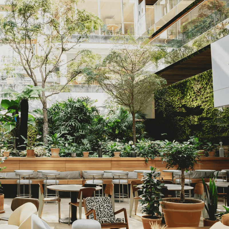Les bureaux de coworking de Morning à Paris