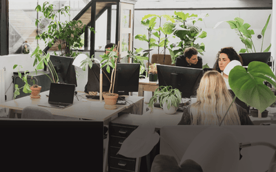 Paysagiste Clamart POUSSE