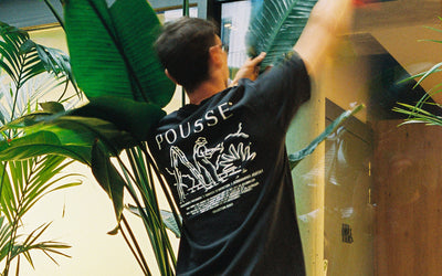 ENTRETIEN PLANTE ENTREPRISE