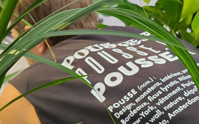 Notre équipe reprend vos plantes après un événement