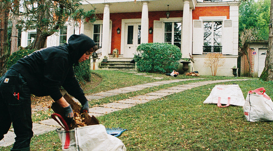 Agence vegetale Paris