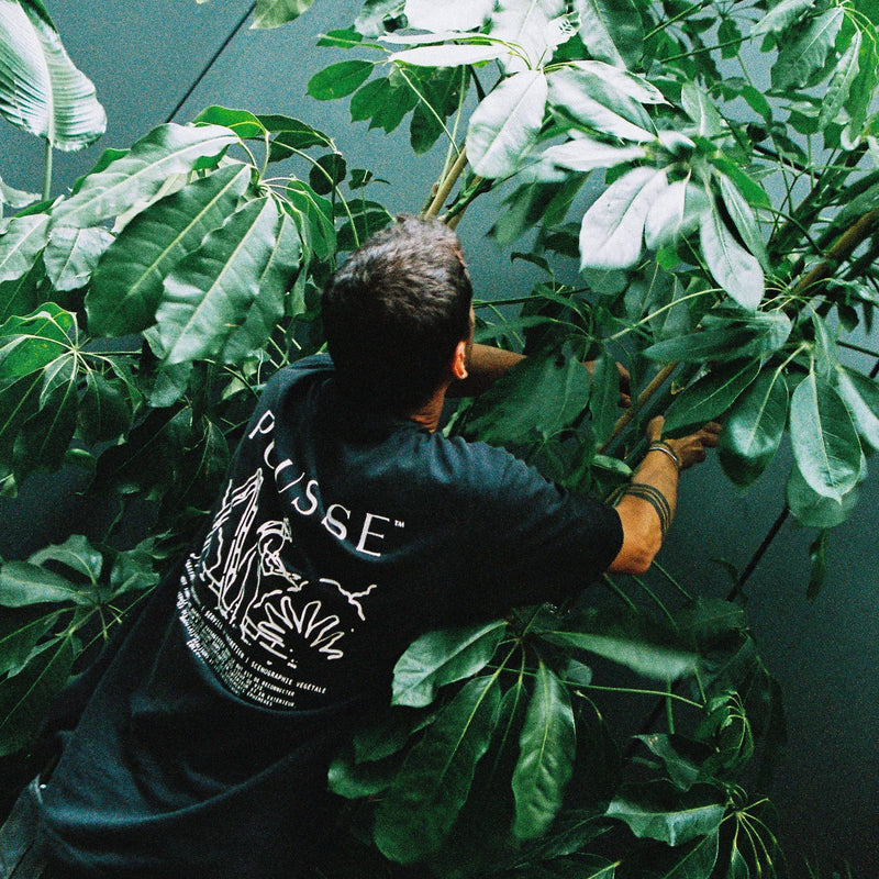 Agence vegetale jardinier