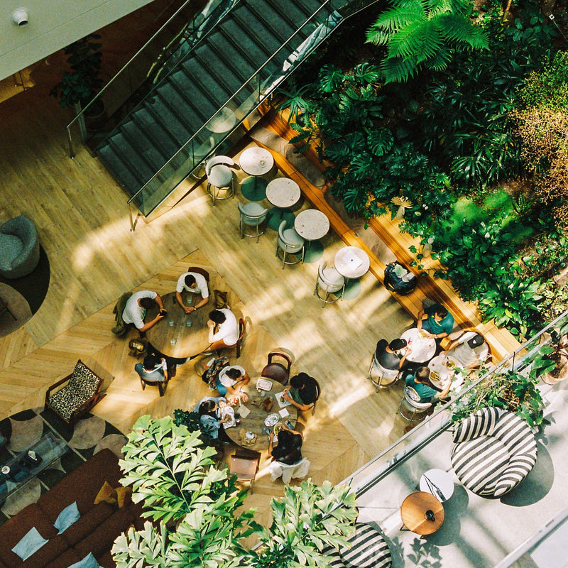 Agence vegetale interieur bureau