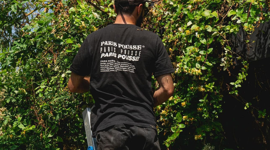 Entretien espace vert par POUSSE