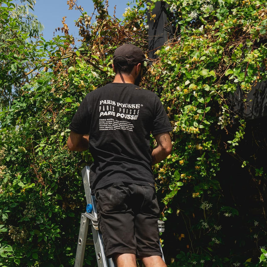 Entretien espace vert par POUSSE